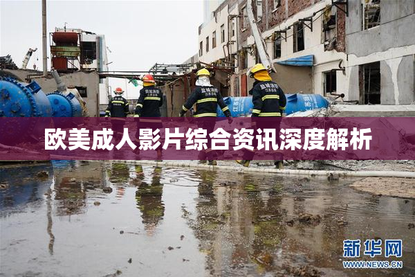 欧美成人影片综合资讯深度解析