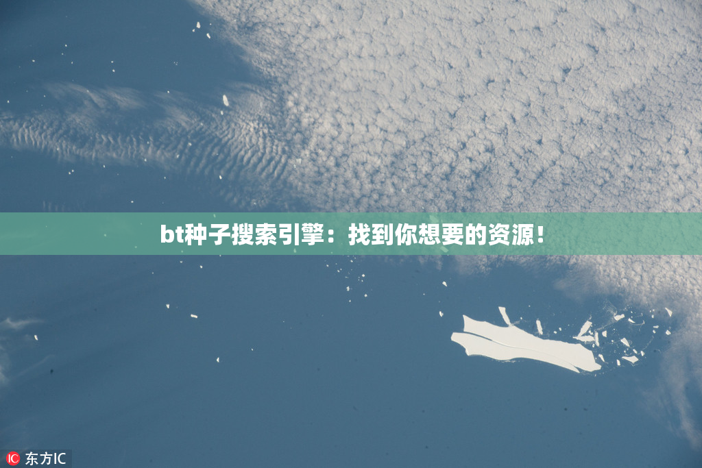 bt种子搜索引擎：找到你想要的资源！