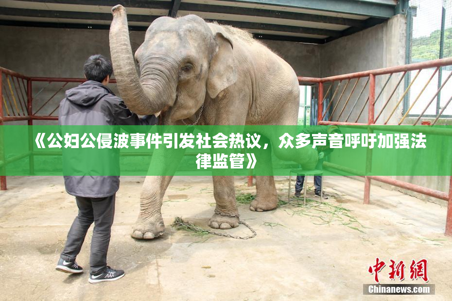 《公妇公侵波事件引发社会热议，众多声音呼吁加强法律监管》