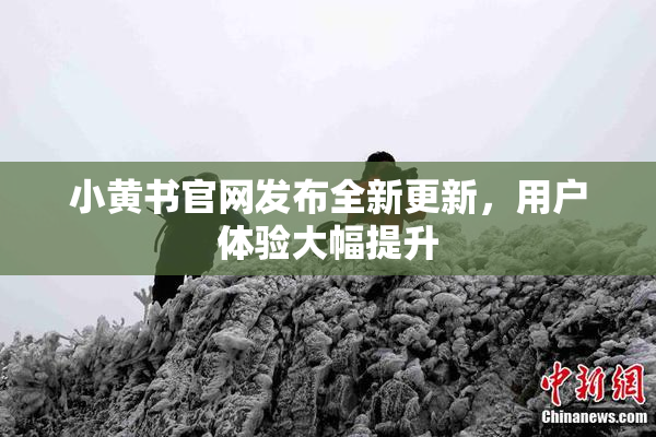 小黄书官网发布全新更新，用户体验大幅提升