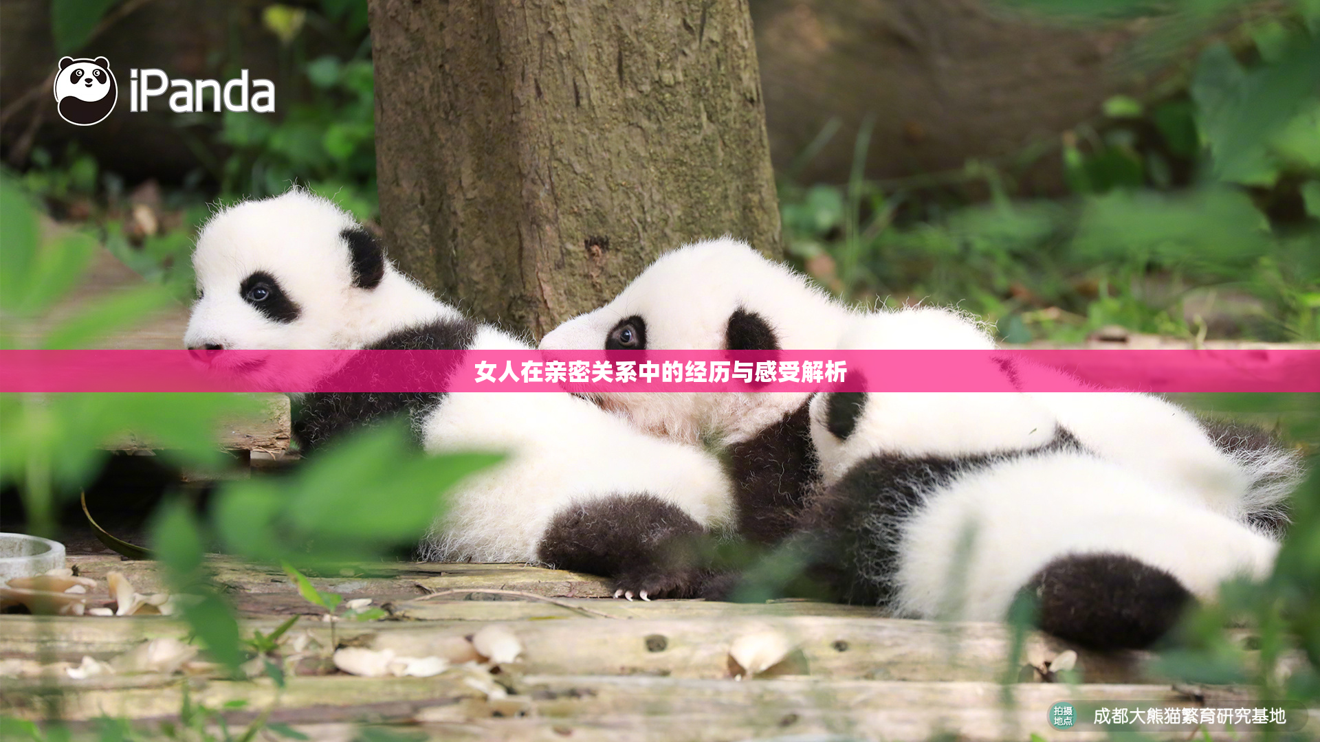 女人在亲密关系中的经历与感受解析
