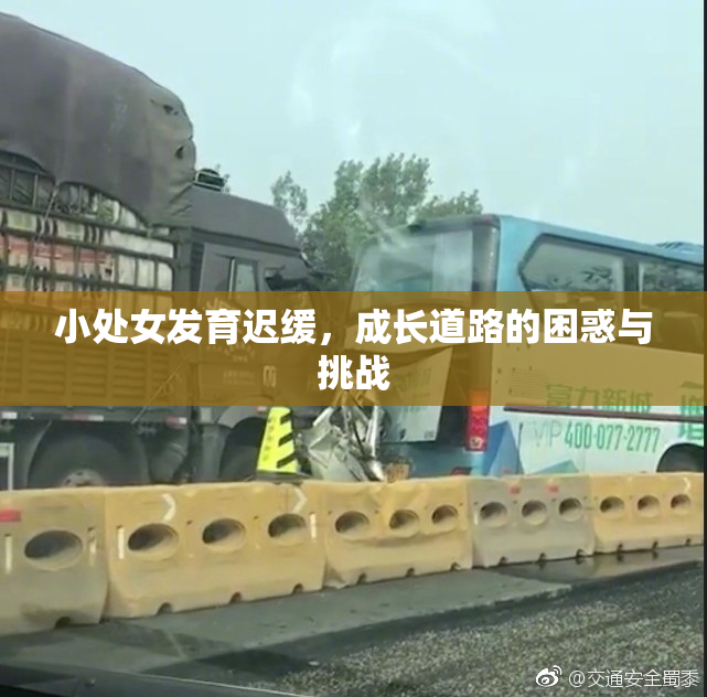 小处女发育迟缓，成长道路的困惑与挑战