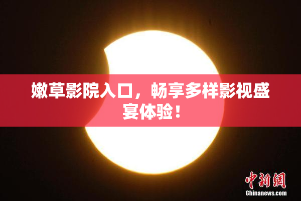 嫩草影院入口，畅享多样影视盛宴体验！