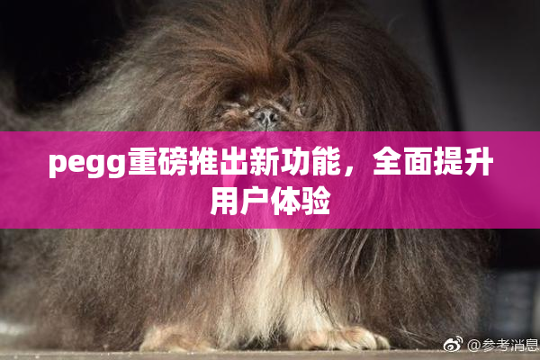 pegg重磅推出新功能，全面提升用户体验