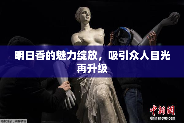 明日香的魅力绽放，吸引众人目光再升级
