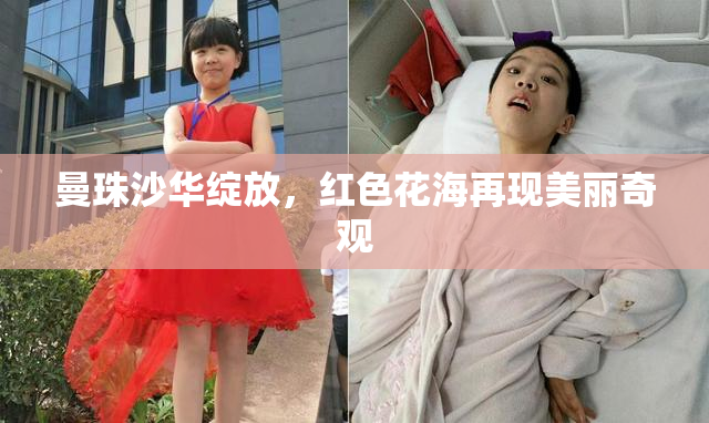曼珠沙华绽放，红色花海再现美丽奇观
