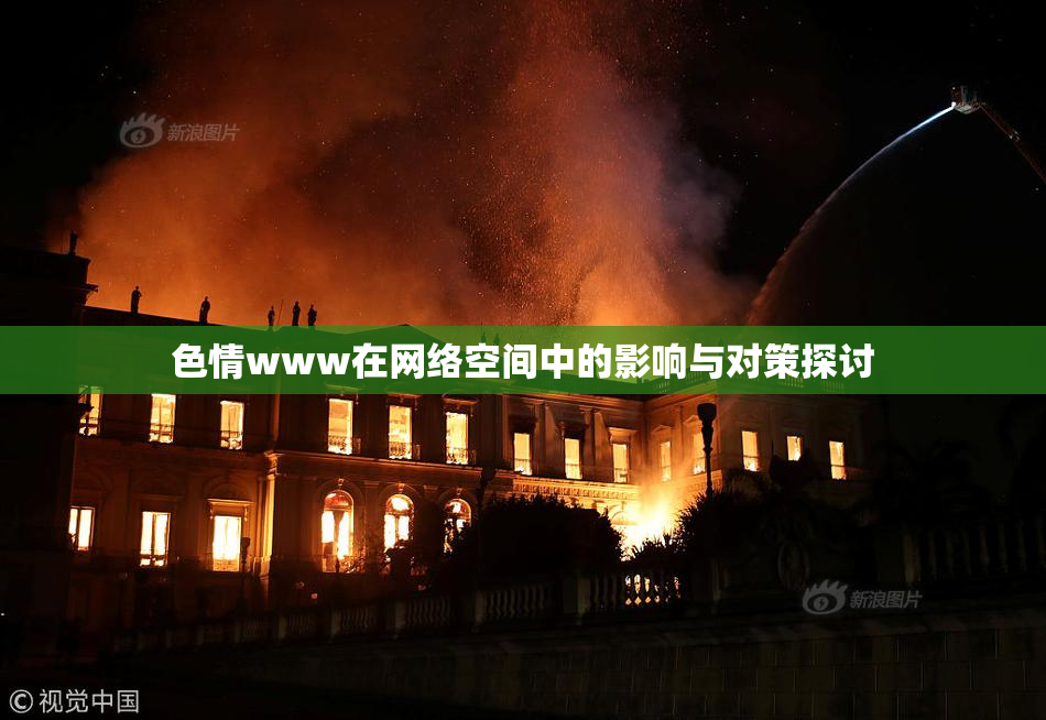 色情www在网络空间中的影响与对策探讨