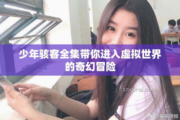 少年骇客全集带你进入虚拟世界的奇幻冒险