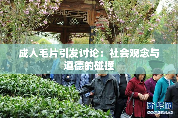 成人毛片引发讨论：社会观念与道德的碰撞