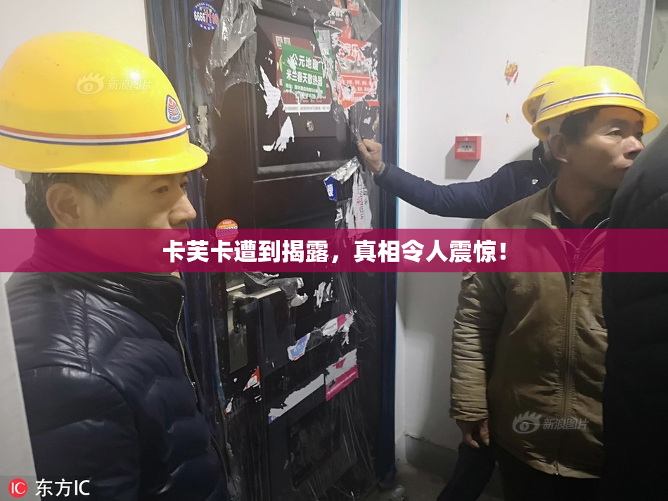 卡芙卡遭到揭露，真相令人震惊！