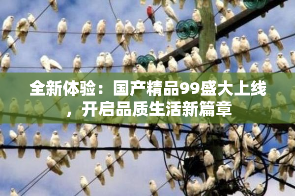 全新体验：国产精品99盛大上线，开启品质生活新篇章