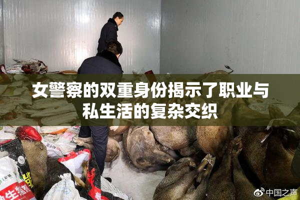 女警察的双重身份揭示了职业与私生活的复杂交织
