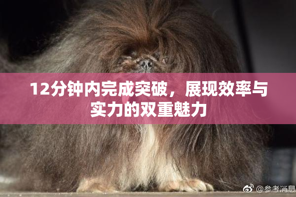 12分钟内完成突破，展现效率与实力的双重魅力