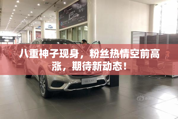 八重神子现身，粉丝热情空前高涨，期待新动态！