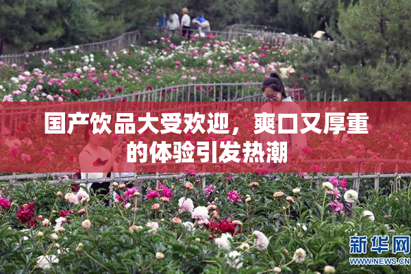 国产饮品大受欢迎，爽口又厚重的体验引发热潮