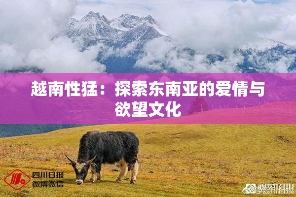 越南性猛：探索东南亚的爱情与欲望文化