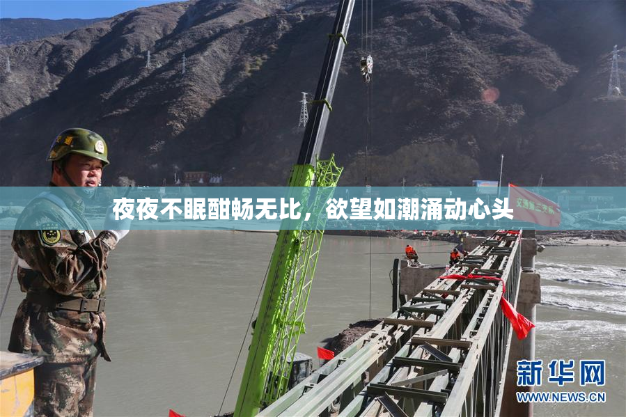 夜夜不眠酣畅无比，欲望如潮涌动心头