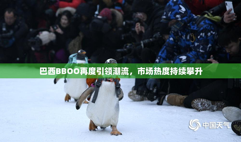 巴西BBOO再度引领潮流，市场热度持续攀升