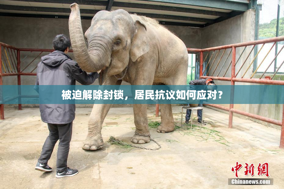 被迫解除封锁，居民抗议如何应对？