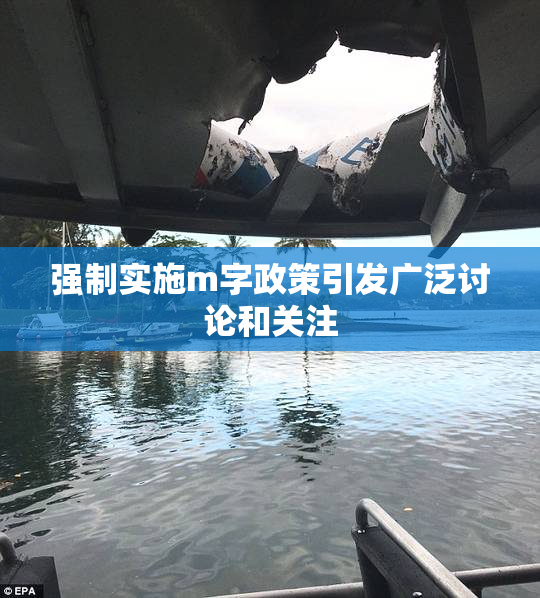 强制实施m字政策引发广泛讨论和关注