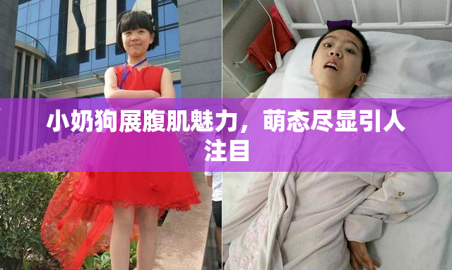 小奶狗展腹肌魅力，萌态尽显引人注目