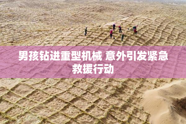男孩钻进重型机械 意外引发紧急救援行动