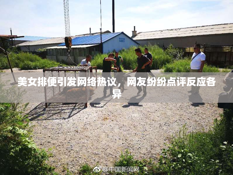 美女排便引发网络热议，网友纷纷点评反应各异