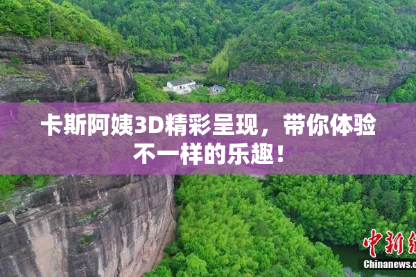 卡斯阿姨3D精彩呈现，带你体验不一样的乐趣！