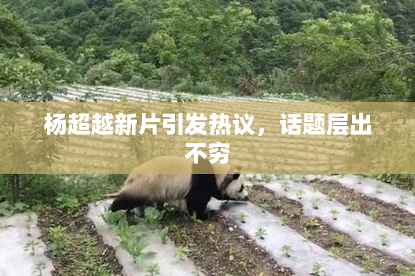 杨超越新片引发热议，话题层出不穷