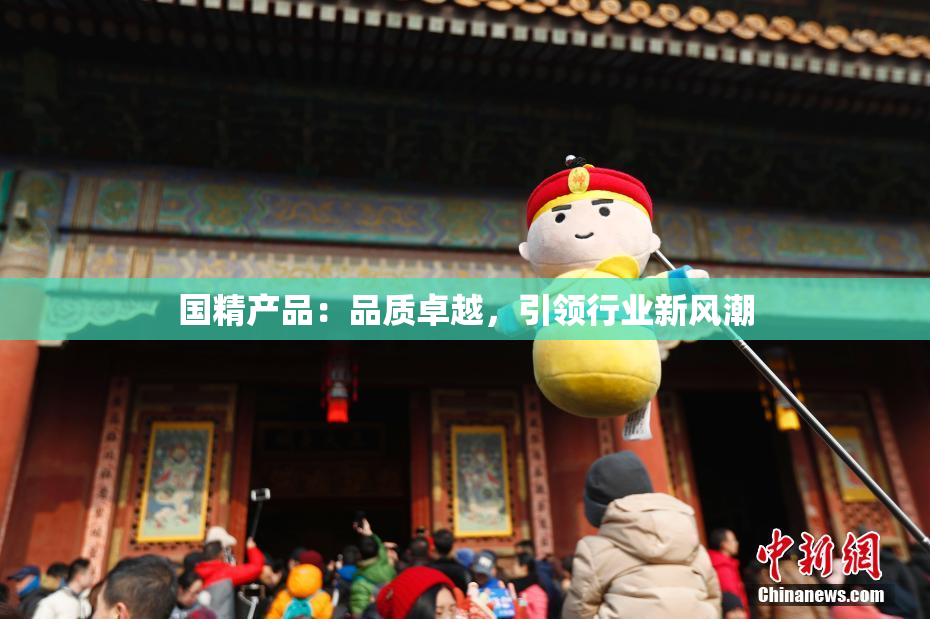 国精产品：品质卓越，引领行业新风潮