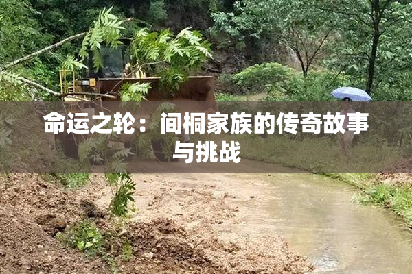 命运之轮：间桐家族的传奇故事与挑战