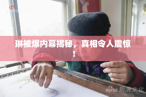 琳被爆内幕揭秘，真相令人震惊！