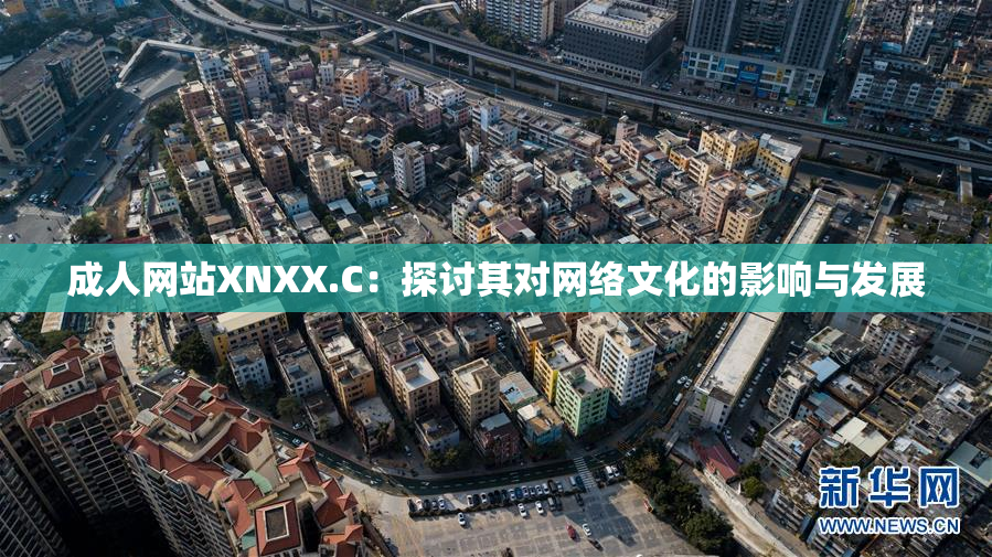 成人网站XNXX.C：探讨其对网络文化的影响与发展