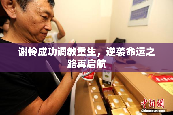 谢怜成功调教重生，逆袭命运之路再启航