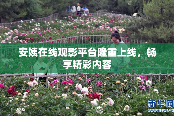 安姨在线观影平台隆重上线，畅享精彩内容
