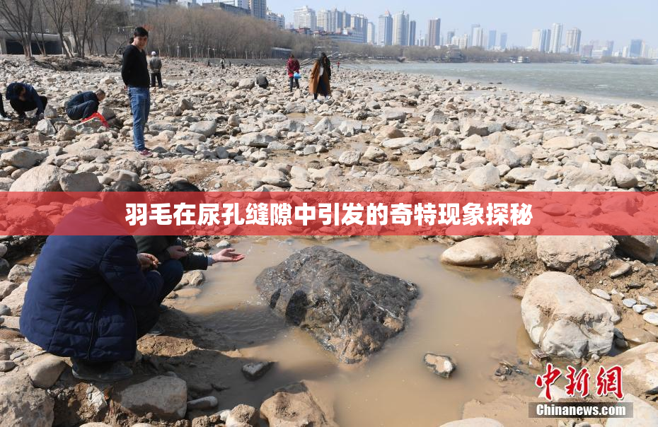 羽毛在尿孔缝隙中引发的奇特现象探秘