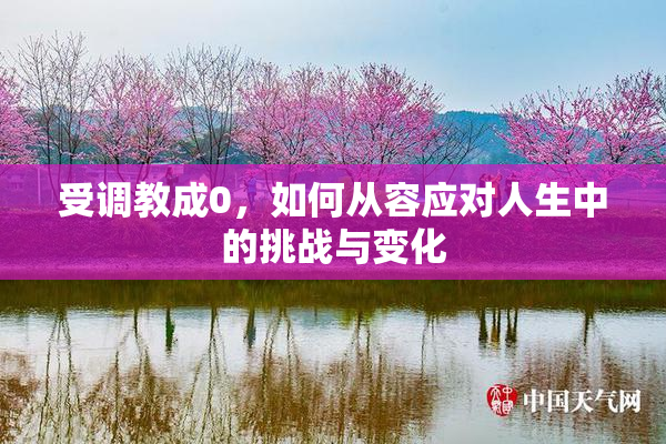 受调教成0，如何从容应对人生中的挑战与变化