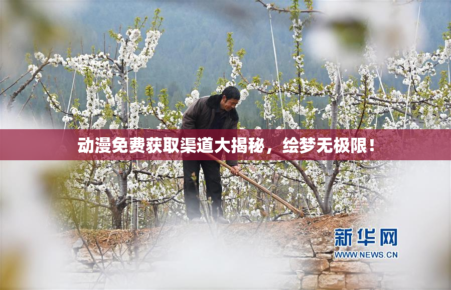 动漫免费获取渠道大揭秘，绘梦无极限！