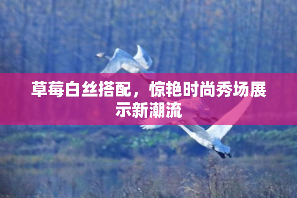 草莓白丝搭配，惊艳时尚秀场展示新潮流