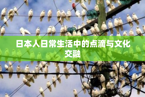 日本人日常生活中的点滴与文化交融