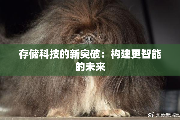 存储科技的新突破：构建更智能的未来