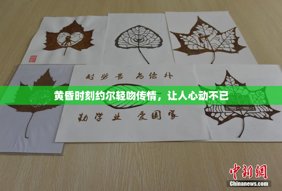 黄昏时刻约尔轻吻传情，让人心动不已