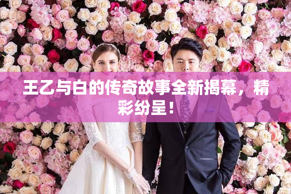 王乙与白的传奇故事全新揭幕，精彩纷呈！