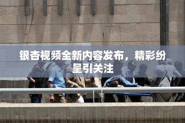 银杏视频全新内容发布，精彩纷呈引关注