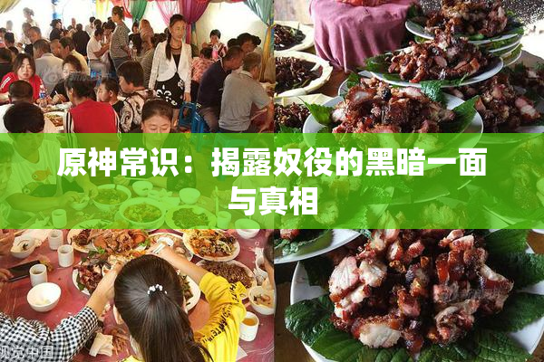 原神常识：揭露奴役的黑暗一面与真相