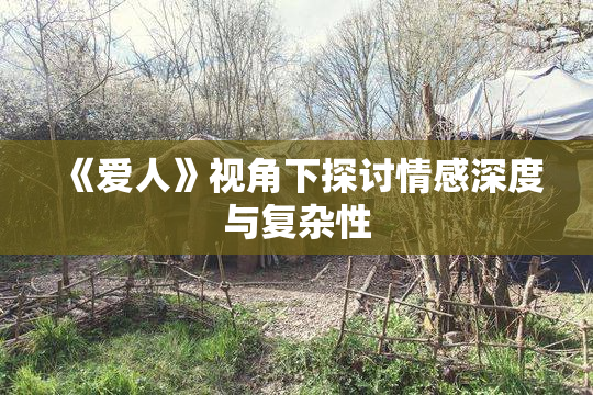 《爱人》视角下探讨情感深度与复杂性