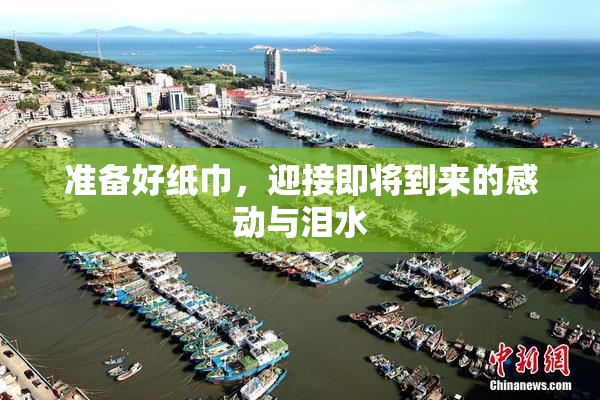 准备好纸巾，迎接即将到来的感动与泪水