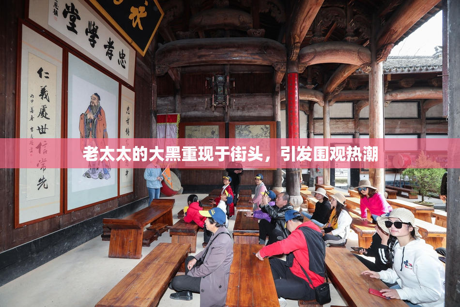 老太太的大黑重现于街头，引发围观热潮