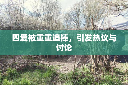 四爱被重重追捧，引发热议与讨论