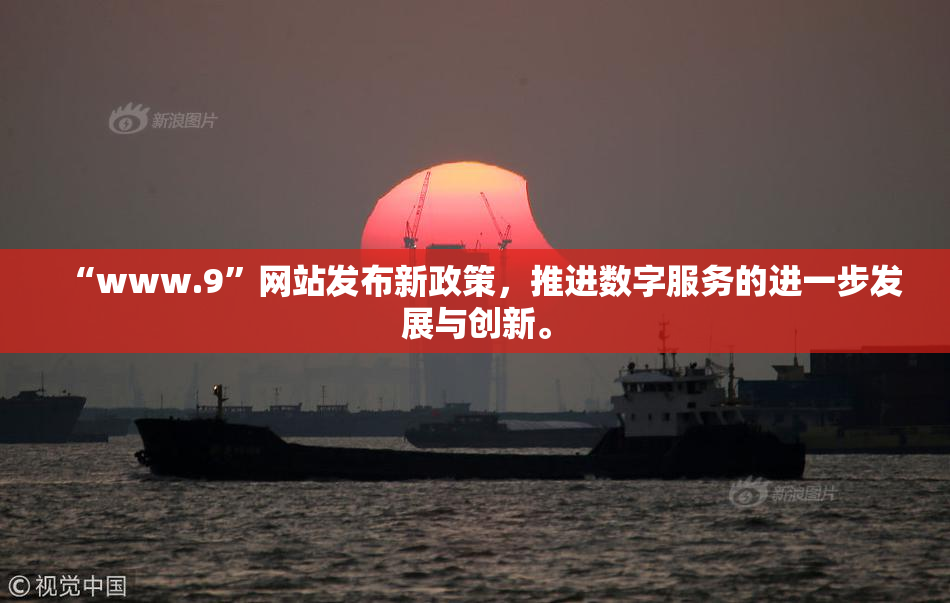 “www.9”网站发布新政策，推进数字服务的进一步发展与创新。